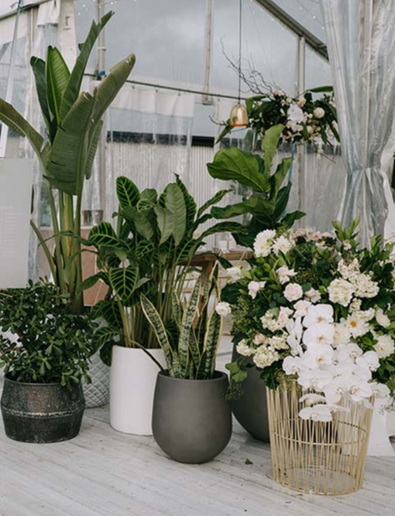 events-plant-styling